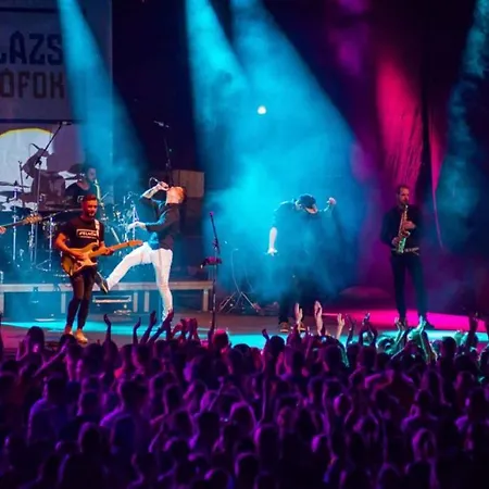 In - Balaton 40758 別荘 *